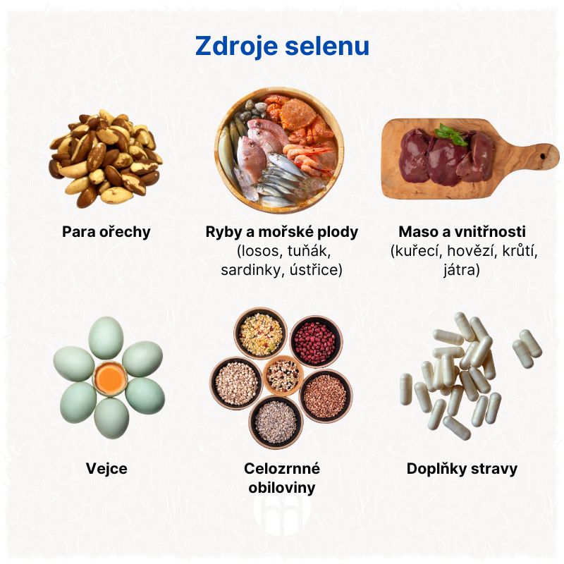 Zdroje selenu